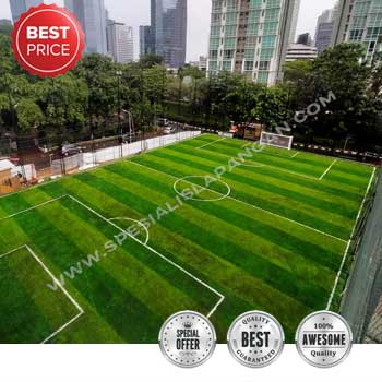 Kontraktor Lapangan Futsal dan Mini Soccer